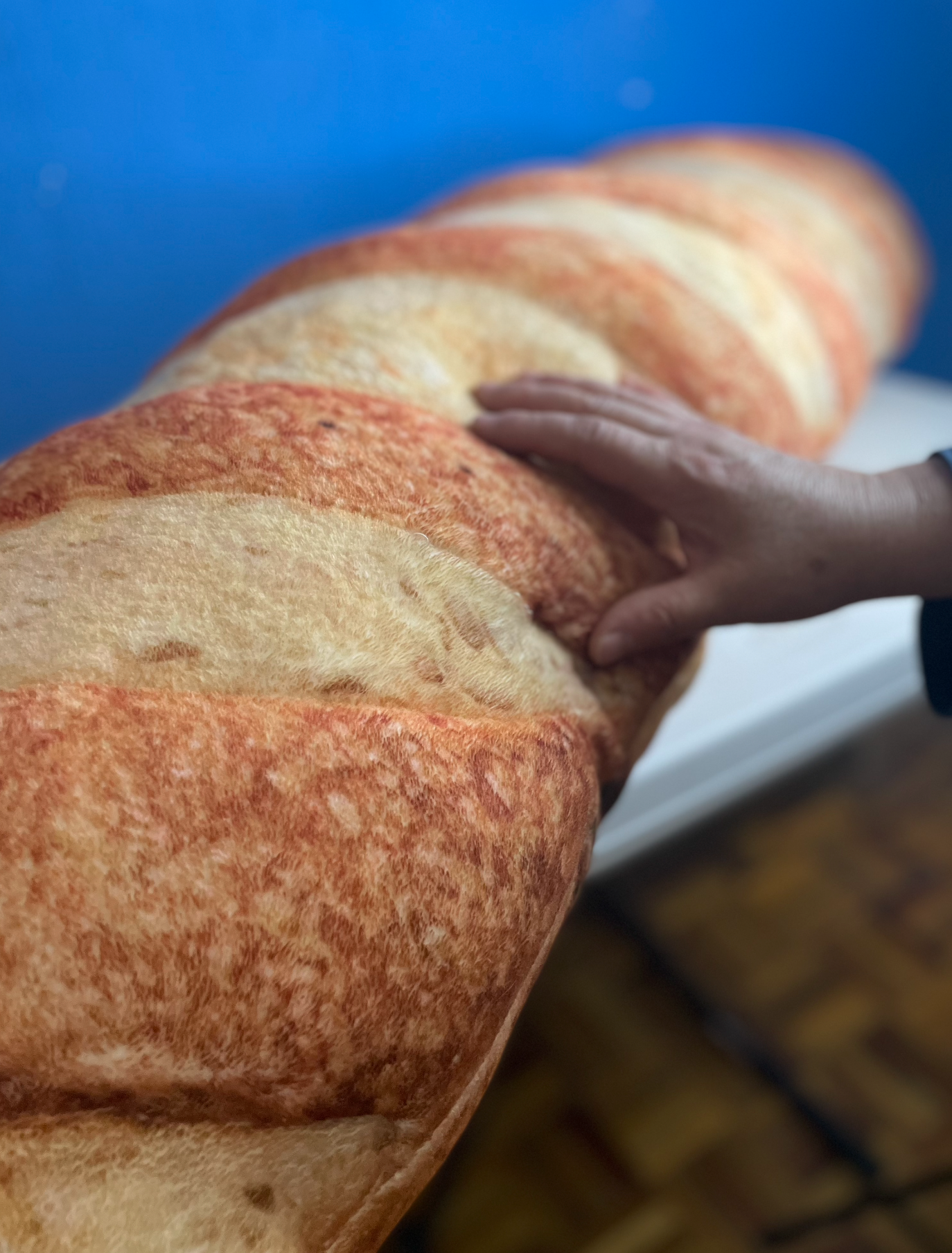 Cojín Baguette Gigante Envío Gratis